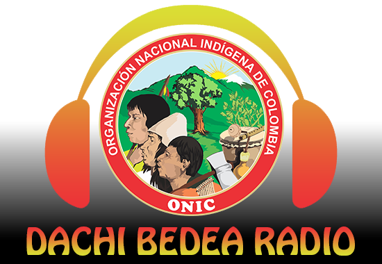 Dachi Bedea Radio