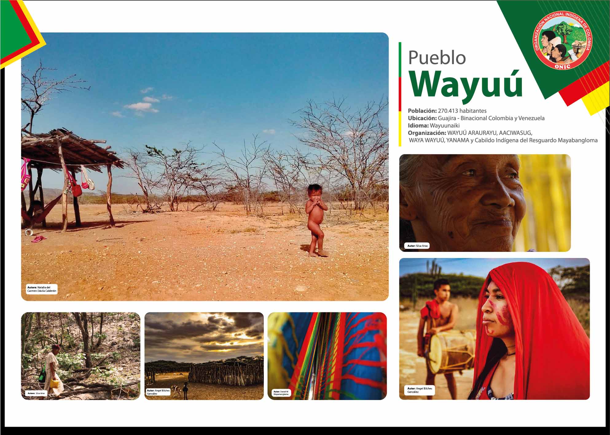 Wayuu